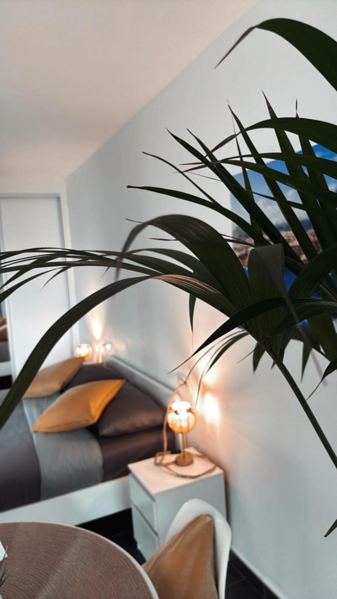 Marina Suites Tenerife Пуэрто-де-ла-Крус Экстерьер фото
